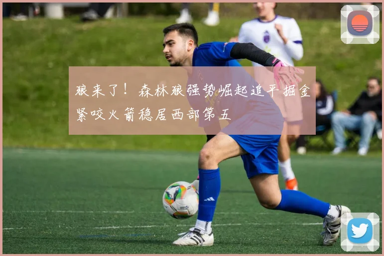 狼来了！森林狼强势崛起追平掘金紧咬火箭稳居西部第五