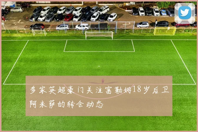 多家英超豪门关注富勒姆18岁后卫阿米萨的转会动态