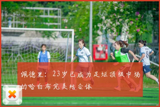 佩德里：23岁已成为足坛顶级中场的哈白布完美结合体