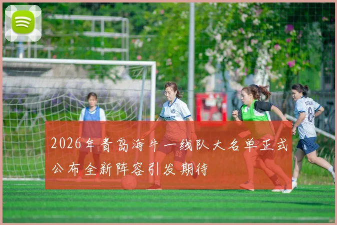 2026年青岛海牛一线队大名单正式公布全新阵容引发期待